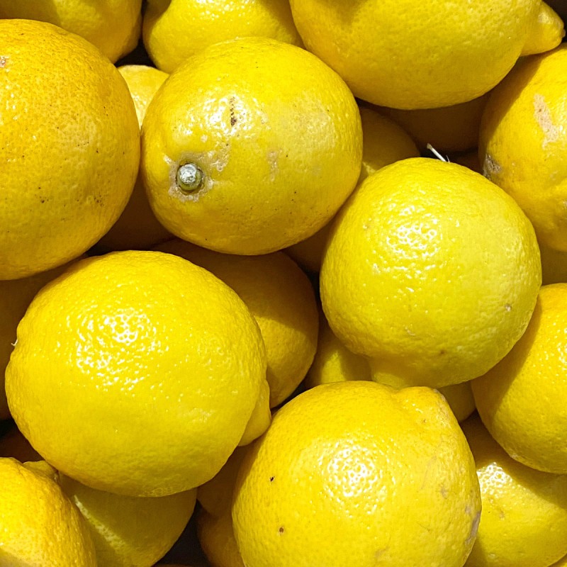 Citron jaune Corse vendu par lot de 4 - Origine France